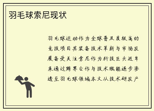 羽毛球索尼现状